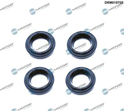 Dr.Motor Automotive DRM01970S EAN: 5904639625670.