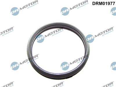 Dr.Motor Automotive DRM01977 EAN: 5904639625991.