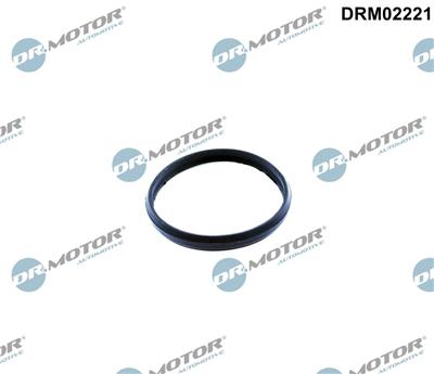 Dr.Motor Automotive DRM02221 EAN: 5904639632685.