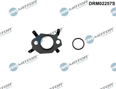 Dr.Motor Automotive DRM02257S EAN: 5904639634689.