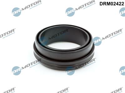 Dr.Motor Automotive DRM02422 EAN: 5904639641298.