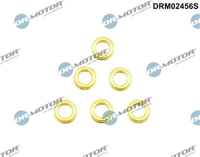 Dr.Motor Automotive DRM02456S EAN: 5904639637673.