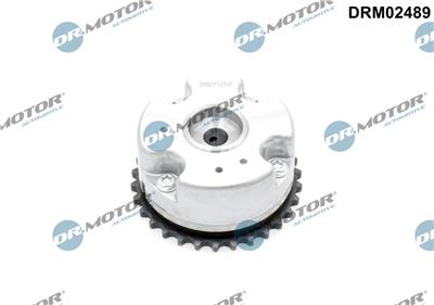 Dr.Motor Automotive DRM02489 EAN: 5904639638076.