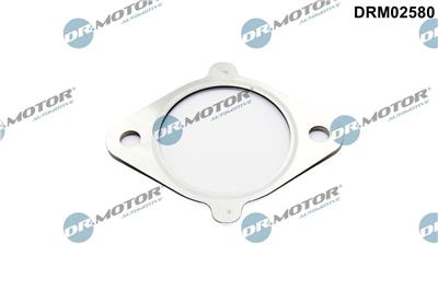 Dr.Motor Automotive DRM02580 EAN: 5904639639288.
