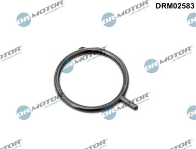 Dr.Motor Automotive DRM02583 EAN: 5904639639318.