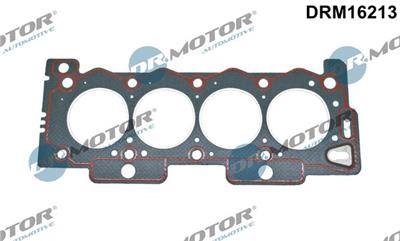 Dr.Motor Automotive DRM16213 EAN: 5903672747295.