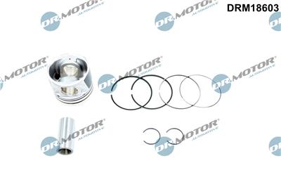 Dr.Motor Automotive DRM18603 EAN: 5904639623218.
