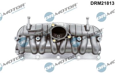 Dr.Motor Automotive DRM21813 EAN: 5904639601032.
