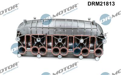 Dr.Motor Automotive DRM21813 EAN: 5904639601032.