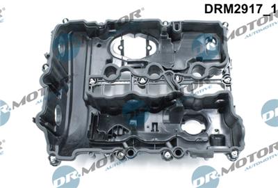 Dr.Motor Automotive DRM2917 EAN: 5903672741866.