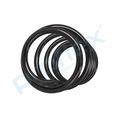 PROFLEX AUTOMOTIVE PX1-0410 EAN: 5906125010304.