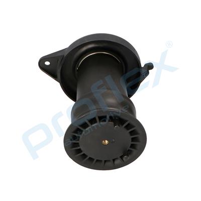 PROFLEX AUTOMOTIVE PX9-1031 EAN: 5906125606293.