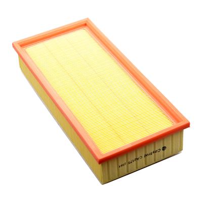 Castrol Filters CA0175