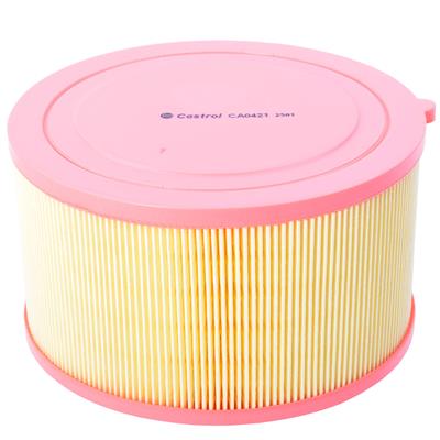 Castrol Filters CA0421