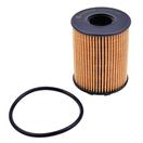 Castrol Filters CO0076