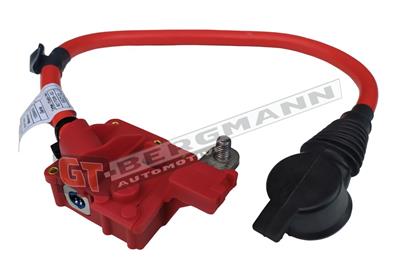 GT BERGMANN GT40-012 EAN: 5907764526164.