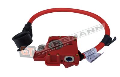 GT BERGMANN GT40-012 EAN: 5907764526164.