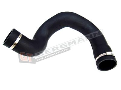 GT BERGMANN GT52-098 EAN: 5907764510385.