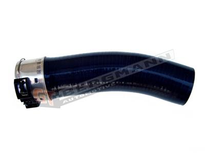 GT BERGMANN GT52-101 EAN: 5907764510415.