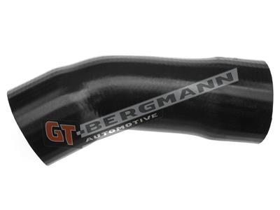 GT BERGMANN GT52-119 EAN: 5907764513362.