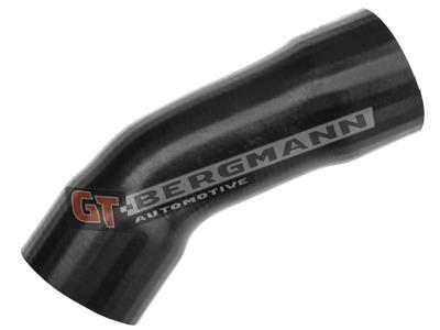 GT BERGMANN GT52-119 EAN: 5907764513362.