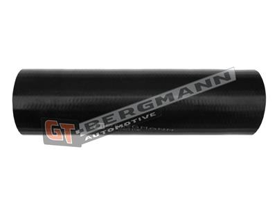 GT BERGMANN GT52-121 EAN: 5907764513386.