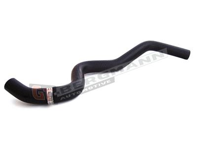 GT BERGMANN GT52-141 EAN: 5907764513836.