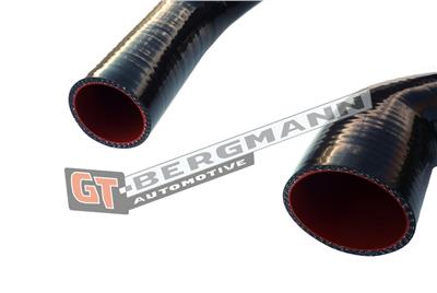 GT BERGMANN GT52-147 EAN: 5907764513898.