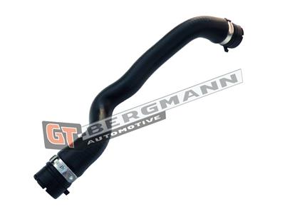 GT BERGMANN GT52-156 EAN: 5907764513973.