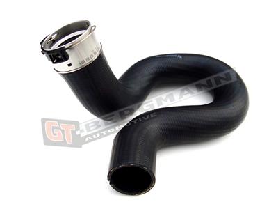 GT BERGMANN GT52-160 EAN: 5907764514024.