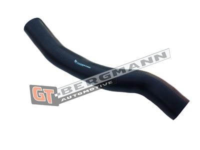 GT BERGMANN GT52-178 EAN: 5907764515113.