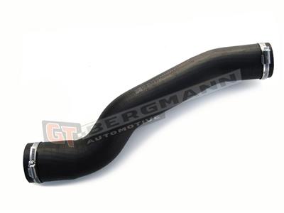 GT BERGMANN GT52-179 EAN: 5907764515144.