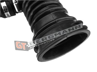 GT BERGMANN GT52-196 EAN: 5907764515441.
