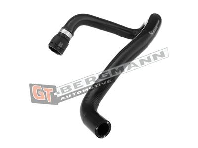 GT BERGMANN GT52-199 EAN: 5907764515694.