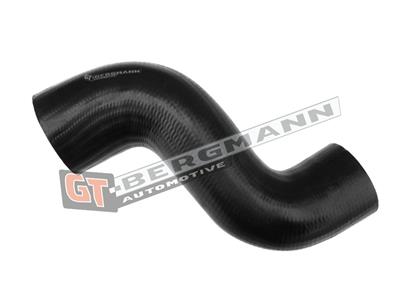 GT BERGMANN GT52-206 EAN: 5907764515755.