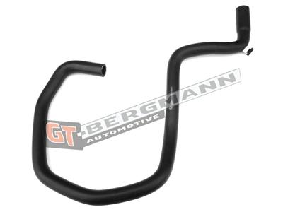 GT BERGMANN GT52-220 EAN: 5907764516097.