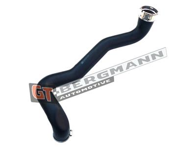 GT BERGMANN GT52-222 EAN: 5907764516196.