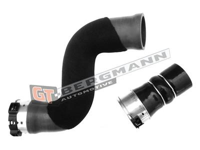 GT BERGMANN GT52-228 EAN: 5907764516882.