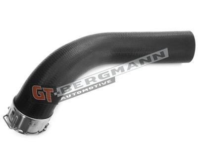 GT BERGMANN GT52-244 EAN: 5907764517469.