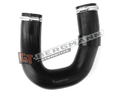 GT BERGMANN GT52-245 EAN: 5907764517483.