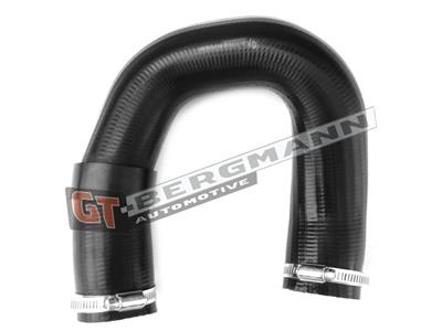 GT BERGMANN GT52-245 EAN: 5907764517483.