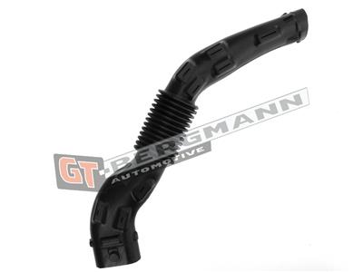 GT BERGMANN GT52-253 EAN: 5907764517629.