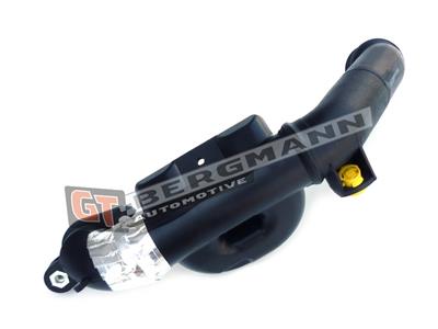 GT BERGMANN GT52-256 EAN: 5907764517650.
