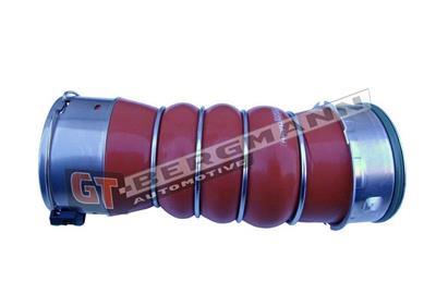 GT BERGMANN GT52-256 EAN: 5907764517650.