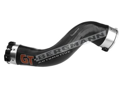 GT BERGMANN GT52-266 EAN: 5907764518121.