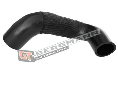 GT BERGMANN GT52-275 EAN: 5907764518282.