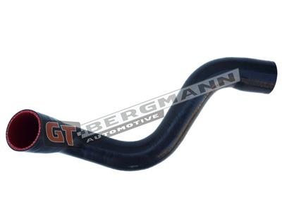 GT BERGMANN GT52-280 EAN: 5907764518336.