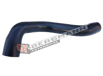 GT BERGMANN GT52-280 EAN: 5907764518336.