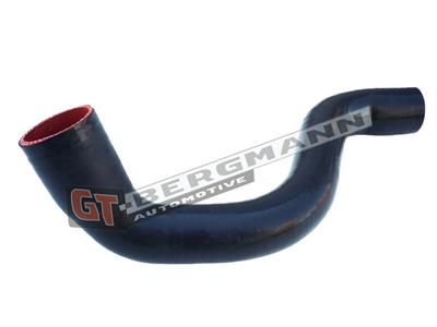 GT BERGMANN GT52-280 EAN: 5907764518336.