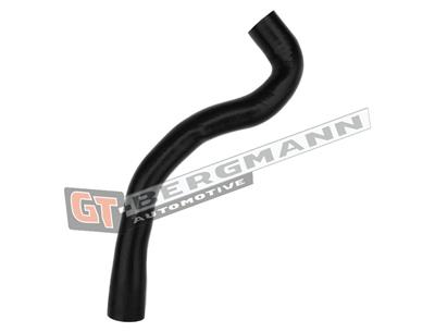 GT BERGMANN GT52-281 EAN: 5907764518343.